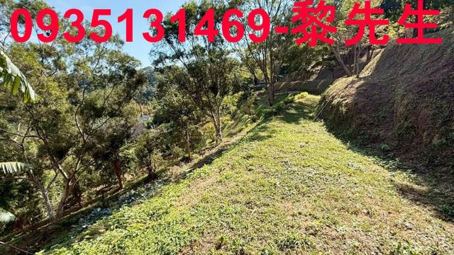 新竹峨眉農地-2