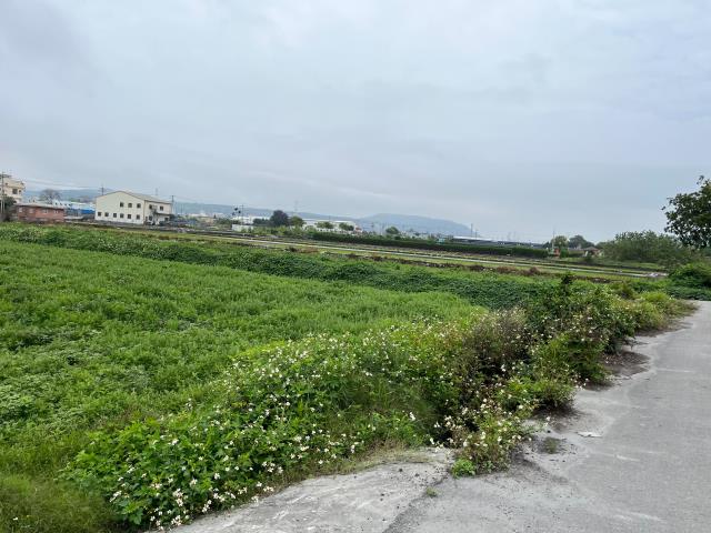 台中農地-4