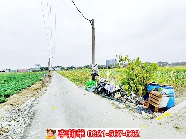 台南農地-2