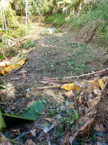 台中太平農地-10