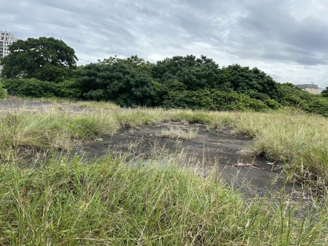 苗栗竹南工業地-3