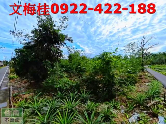 宜蘭員山農地-11