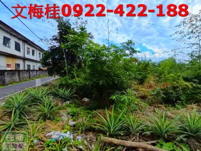 宜蘭員山農地-12