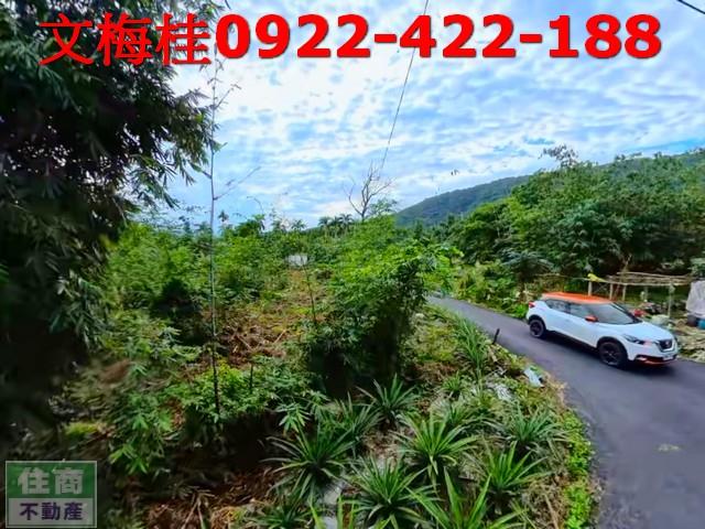 宜蘭員山農地-1