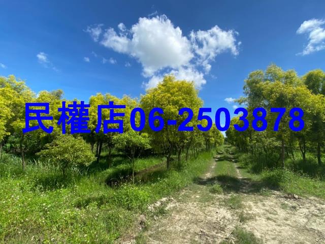 台南六甲農地-5