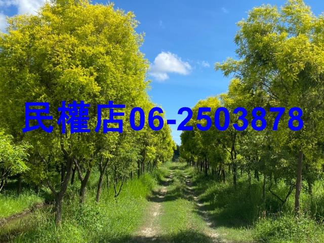 台南六甲農地-9