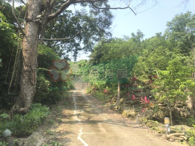 南投南投市農地-10