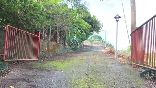 南投南投市農地-14