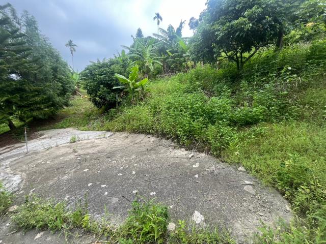 台中霧峰農地-11