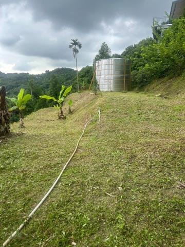 台中霧峰農地-14