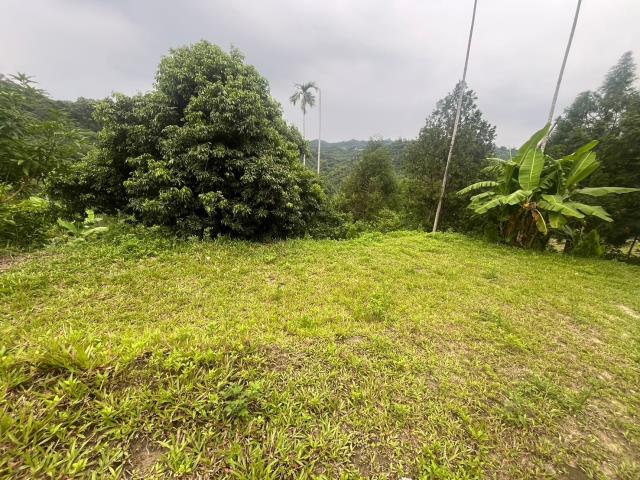 台中霧峰農地-9