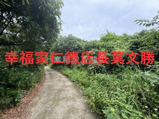 台南新化農地-15