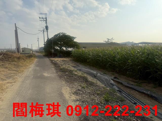台南農地-5