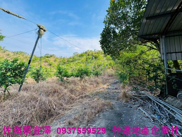 台南左鎮農地-3