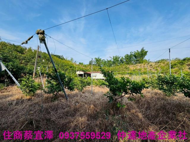 台南左鎮農地-5
