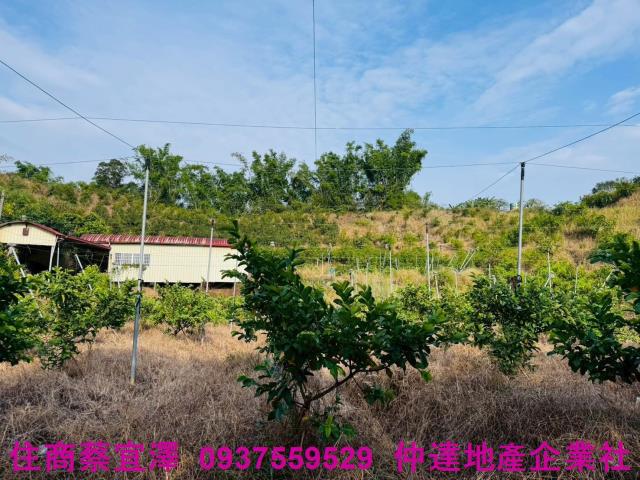 台南左鎮農地-7