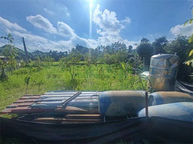 高雄大社農地-15