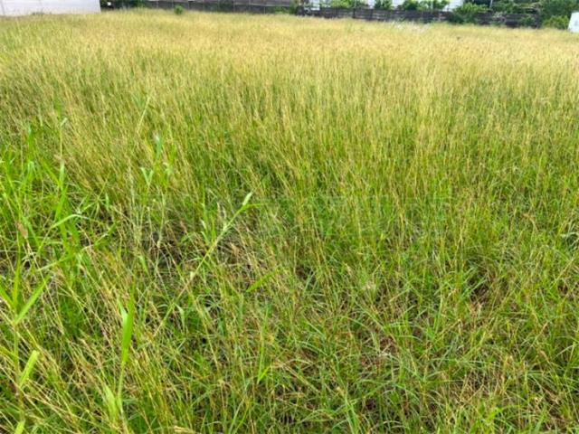 高雄楠梓建地-3