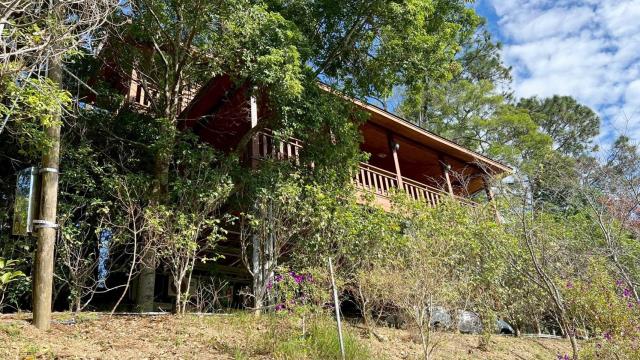 新竹峨眉林地-1