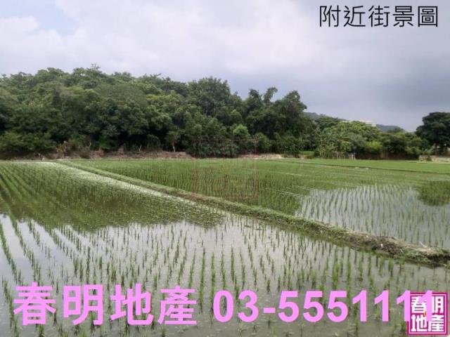 新竹竹北農地-1