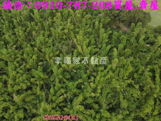 高雄大社農地-15