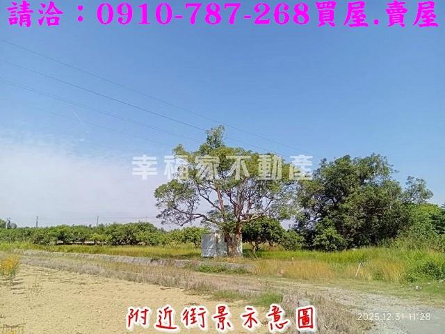 台南新市農地-5