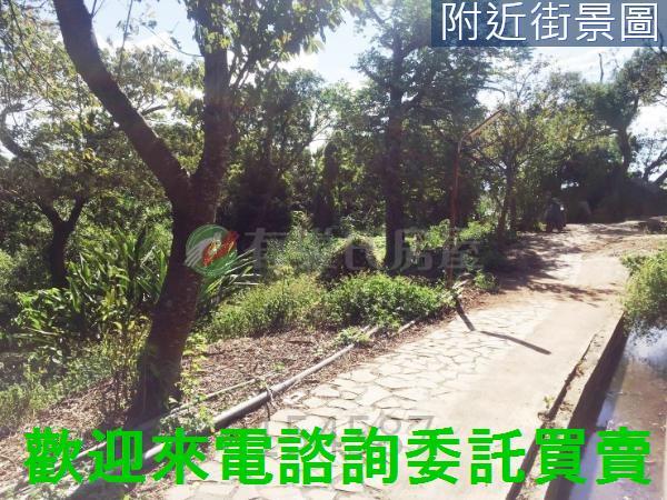 台北北投農地-15