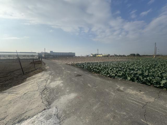 高雄路竹農地-13