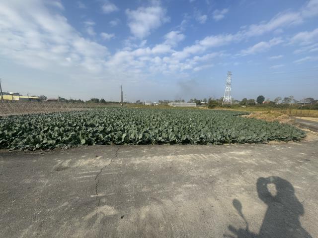 高雄路竹農地-2