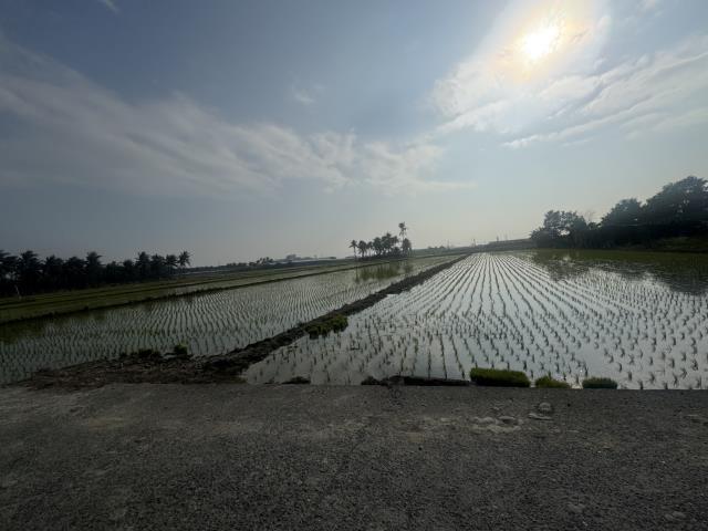 高雄路竹農地-7
