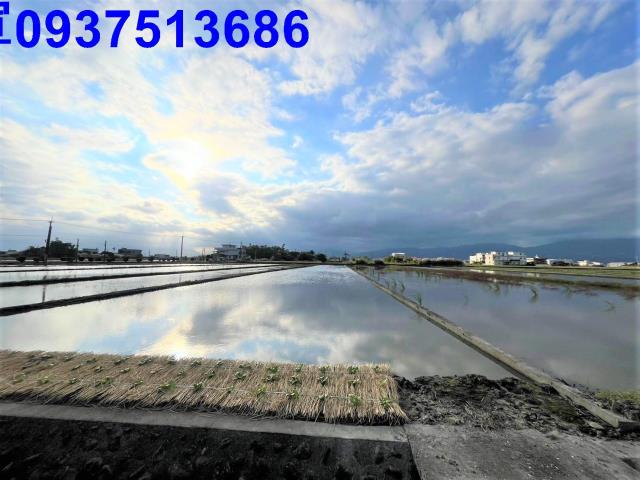 宜蘭壯圍農地-1