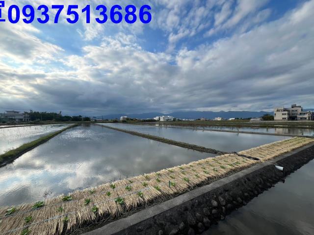 宜蘭壯圍農地-4