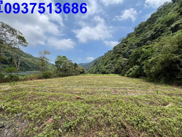 宜蘭員山農地-9