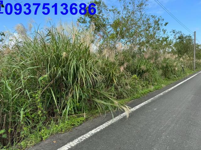 宜蘭壯圍農地-8