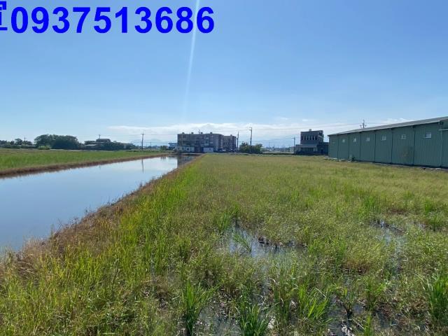 宜蘭壯圍農地-4