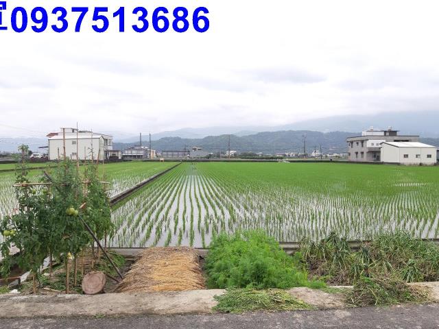 宜蘭礁溪農地-8