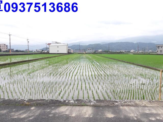 宜蘭礁溪農地-9