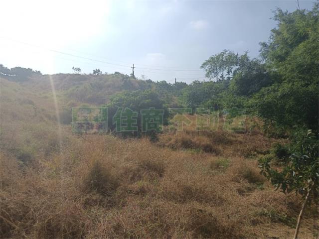 高雄大樹農地-13