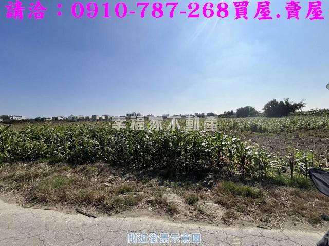 善化農地-14