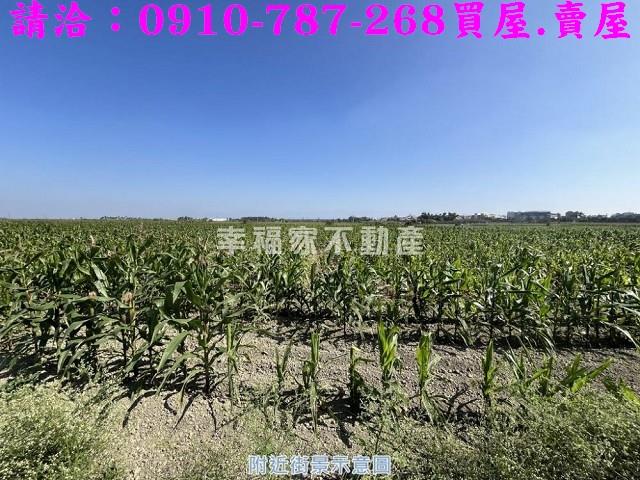 善化農地-7