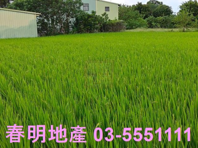 竹北農地-7