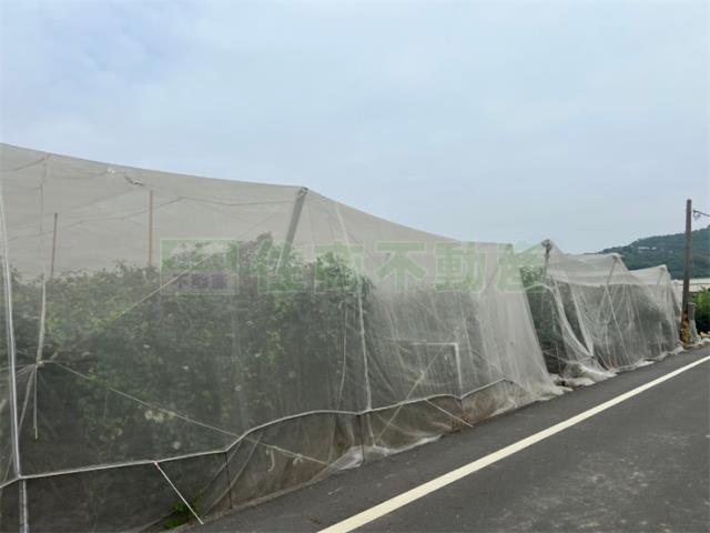 高雄岡山農地-7