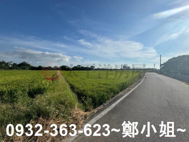 桃園新屋農地-8