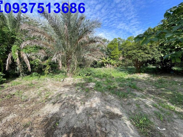 新竹竹北農地-11