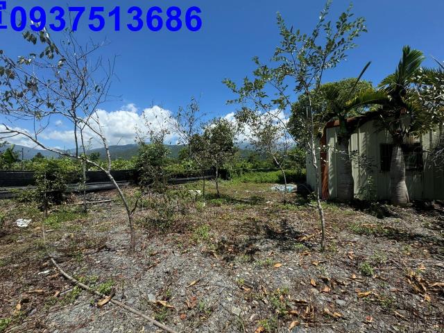 宜蘭礁溪農地-14