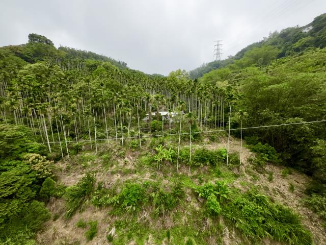 南投草屯農地-10