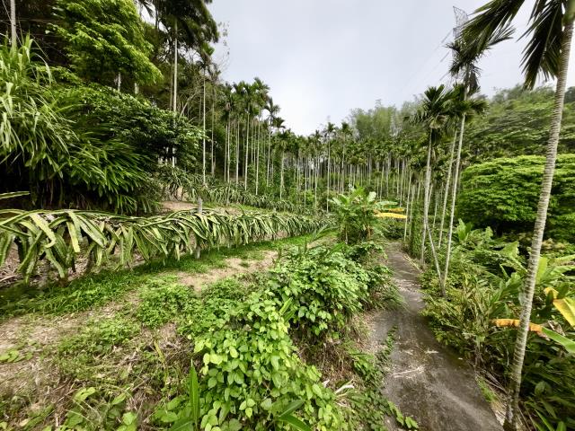 南投草屯農地-6