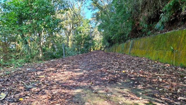 新竹橫山農地-2