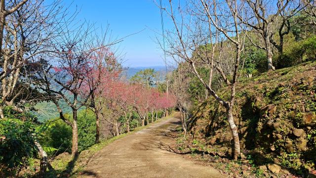 新竹橫山農地-7