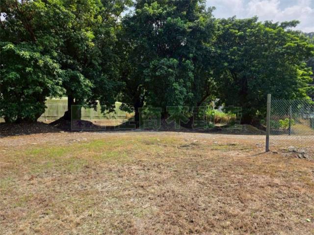 屏東高樹農地-12